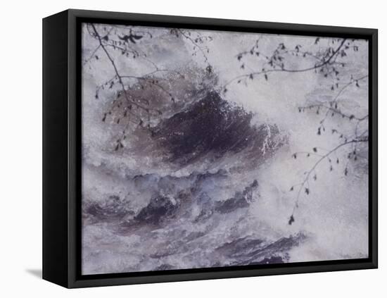 The River-John Dominis-Framed Premier Image Canvas