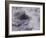 The River-John Dominis-Framed Photographic Print