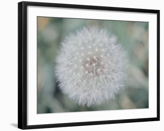 The River-John Dominis-Framed Photographic Print