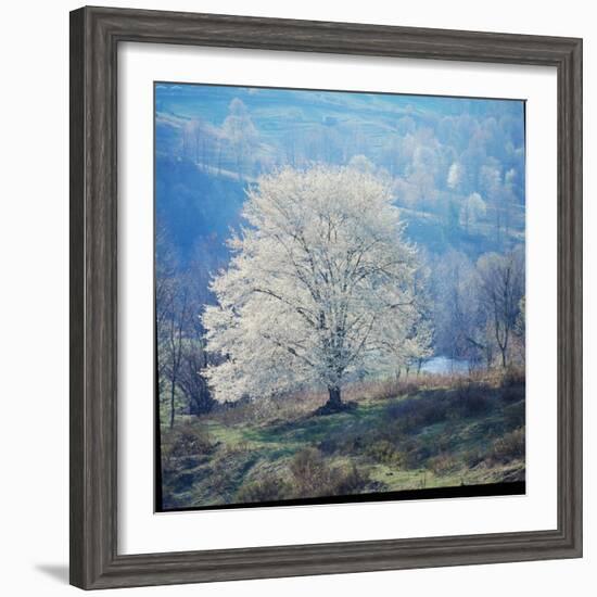 The River-John Dominis-Framed Photographic Print