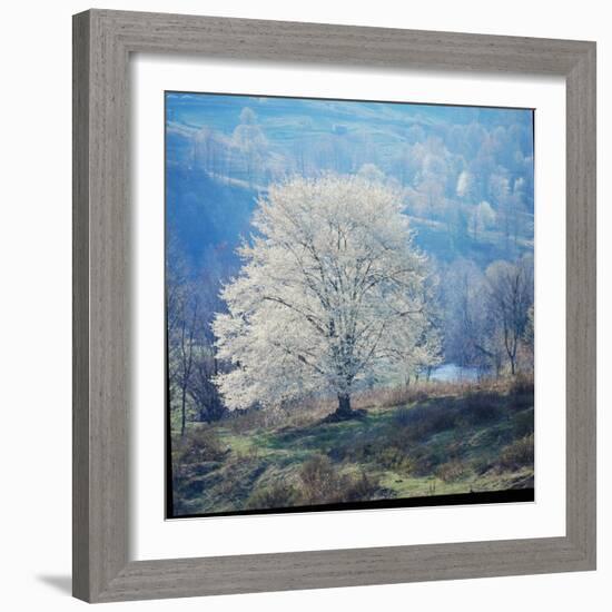 The River-John Dominis-Framed Photographic Print