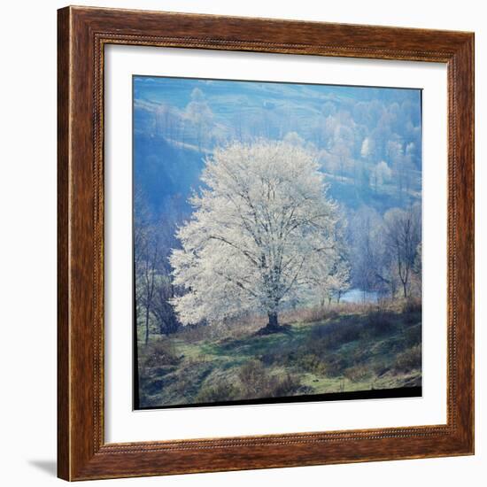 The River-John Dominis-Framed Photographic Print