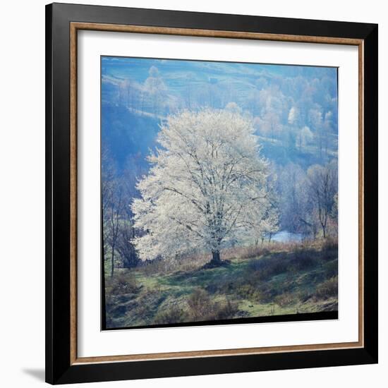 The River-John Dominis-Framed Photographic Print