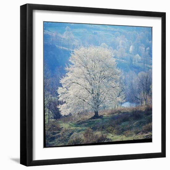 The River-John Dominis-Framed Photographic Print