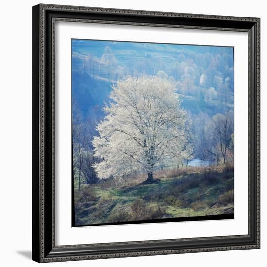 The River-John Dominis-Framed Photographic Print