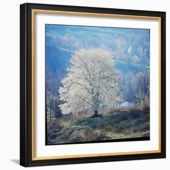 The River-John Dominis-Framed Photographic Print