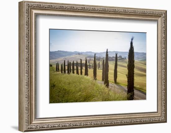 The road curves in the green hills surrounded by cypresses, Crete Senesi (Senese Clays), Province o-Roberto Moiola-Framed Photographic Print