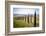 The road curves in the green hills surrounded by cypresses, Crete Senesi (Senese Clays), Province o-Roberto Moiola-Framed Photographic Print