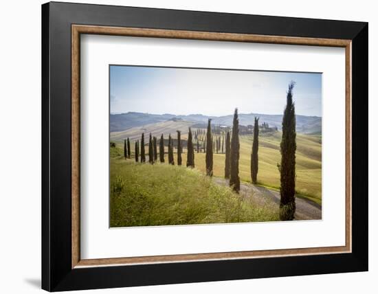 The road curves in the green hills surrounded by cypresses, Crete Senesi (Senese Clays), Province o-Roberto Moiola-Framed Photographic Print