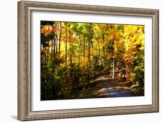 The Road Home-Alan Hausenflock-Framed Photographic Print