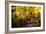 The Road Home-Alan Hausenflock-Framed Photographic Print