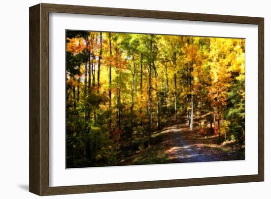 The Road Home-Alan Hausenflock-Framed Photographic Print