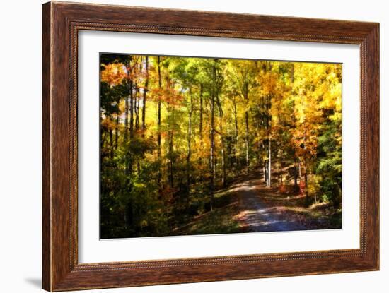 The Road Home-Alan Hausenflock-Framed Photographic Print