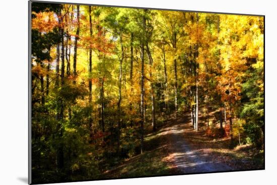 The Road Home-Alan Hausenflock-Mounted Photographic Print