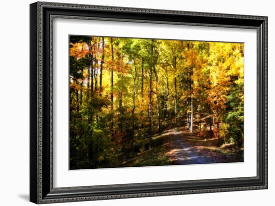 The Road Home-Alan Hausenflock-Framed Photographic Print