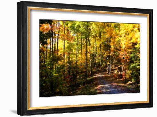 The Road Home-Alan Hausenflock-Framed Photographic Print