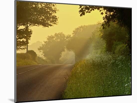 The Road Not Taken-Doug Chinnery-Mounted Photographic Print