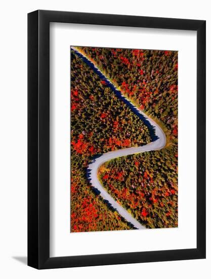 The road of colors-Marco Carmassi-Framed Photographic Print