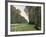 The Road to Bas-Breau, Fontainebleau, circa 1865-Claude Monet-Framed Giclee Print