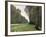 The Road to Bas-Breau, Fontainebleau, circa 1865-Claude Monet-Framed Giclee Print