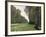 The Road to Bas-Breau, Fontainebleau, circa 1865-Claude Monet-Framed Giclee Print