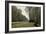 The Road to Chailly (The Forest of Fontainebleau), C. 1865-Claude Monet-Framed Giclee Print