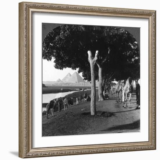 The Road to the Pyramids, Giza, Egypt, 1905-Underwood & Underwood-Framed Photographic Print