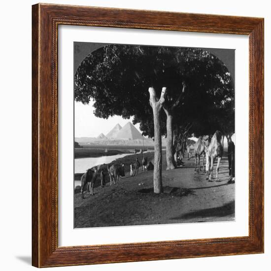 The Road to the Pyramids, Giza, Egypt, 1905-Underwood & Underwood-Framed Photographic Print
