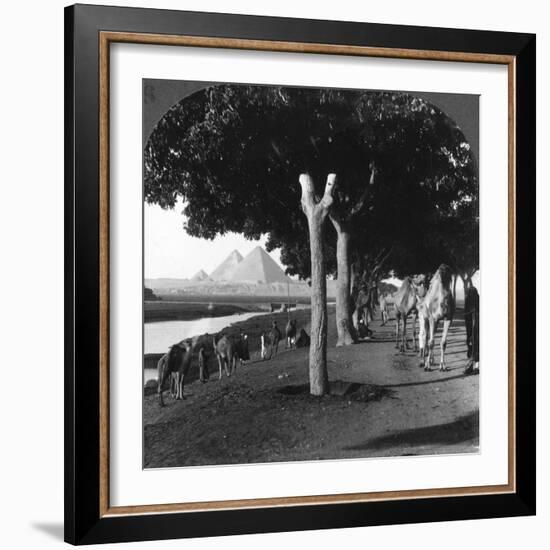 The Road to the Pyramids, Giza, Egypt, 1905-Underwood & Underwood-Framed Photographic Print