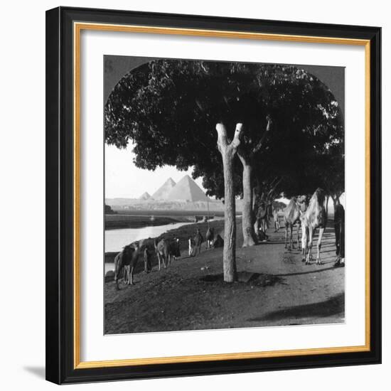 The Road to the Pyramids, Giza, Egypt, 1905-Underwood & Underwood-Framed Photographic Print