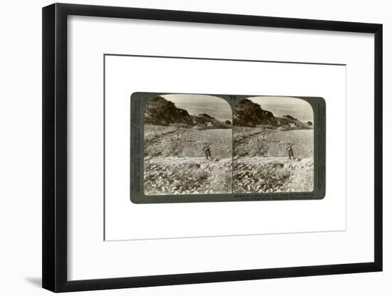 The Rock of Elijah's Altar on Mount Carmel, and the Plain of Esdraelon, Palestine, 1900-Underwood & Underwood-Framed Giclee Print