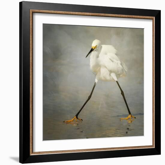The Rock Star-Alfred Forns-Framed Premium Photographic Print