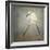 The Rock Star-Alfred Forns-Framed Premium Photographic Print