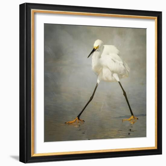 The Rock Star-Alfred Forns-Framed Premium Photographic Print