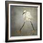 The Rock Star-Alfred Forns-Framed Photographic Print