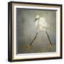 The Rock Star-Alfred Forns-Framed Photographic Print