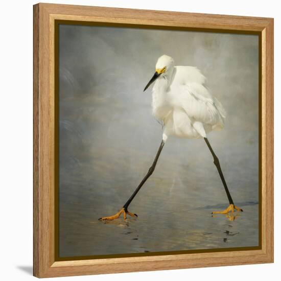 The Rock Star-Alfred Forns-Framed Stretched Canvas