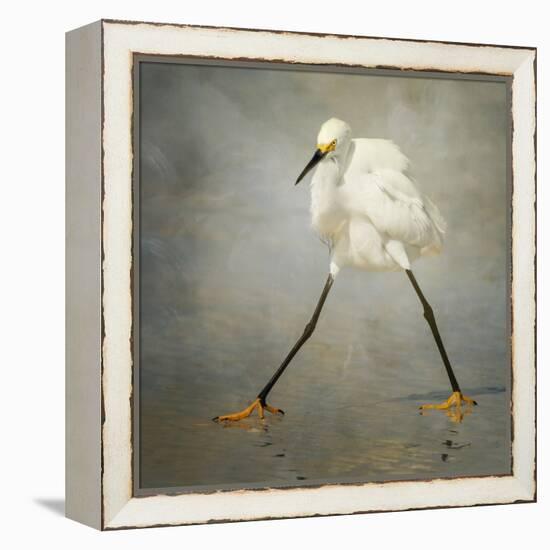 The Rock Star-Alfred Forns-Framed Stretched Canvas