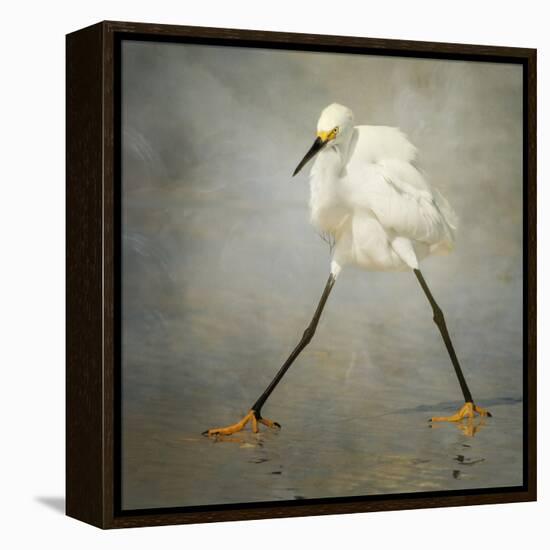 The Rock Star-Alfred Forns-Framed Stretched Canvas