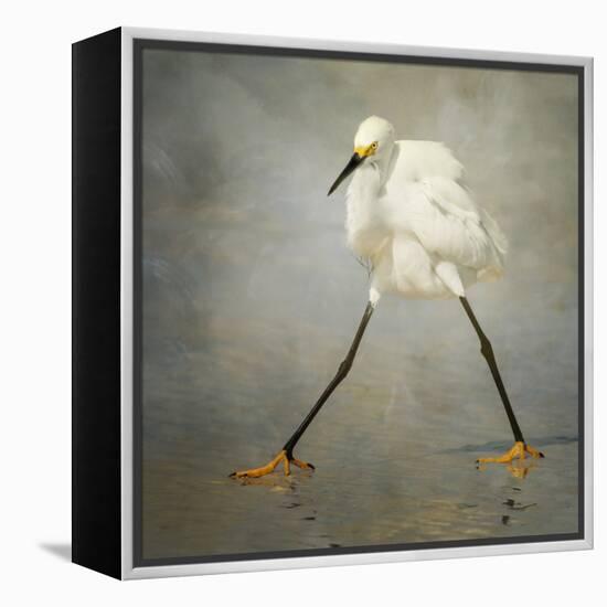 The Rock Star-Alfred Forns-Framed Stretched Canvas
