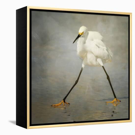 The Rock Star-Alfred Forns-Framed Stretched Canvas