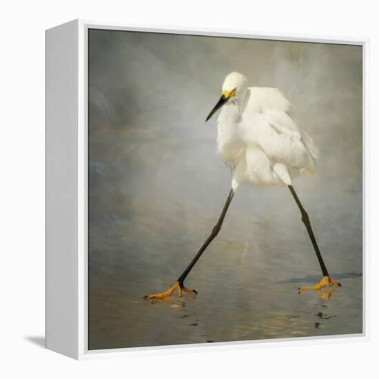 The Rock Star-Alfred Forns-Framed Stretched Canvas