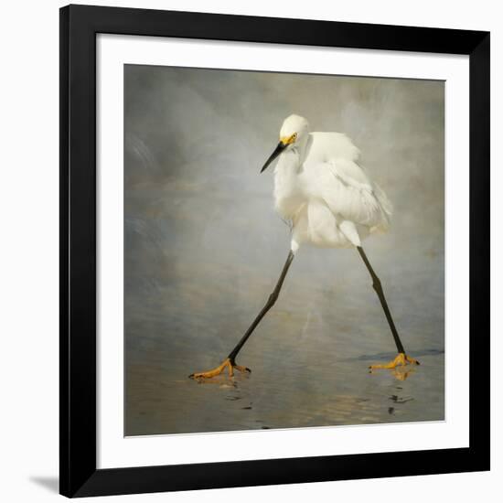 The Rock Star-Alfred Forns-Framed Photographic Print