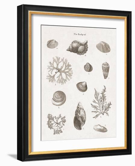 The Rockpool - Calm-The Vintage Collection-Framed Giclee Print