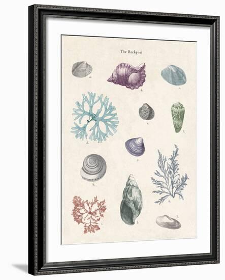 The Rockpool-The Vintage Collection-Framed Giclee Print