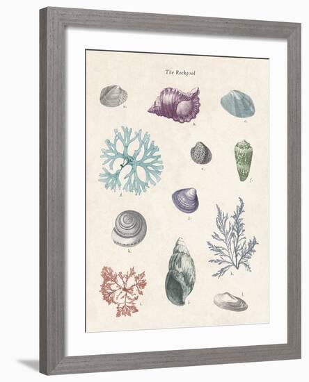 The Rockpool-The Vintage Collection-Framed Giclee Print