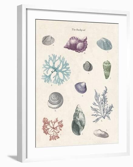 The Rockpool-The Vintage Collection-Framed Giclee Print