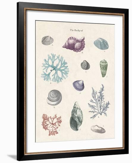 The Rockpool-The Vintage Collection-Framed Giclee Print