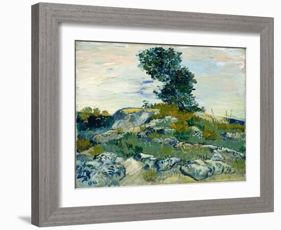 The Rocks, 1888 (Oil on Canvas)-Vincent van Gogh-Framed Giclee Print