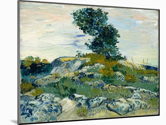 The Rocks, 1888 (Oil on Canvas)-Vincent van Gogh-Mounted Giclee Print